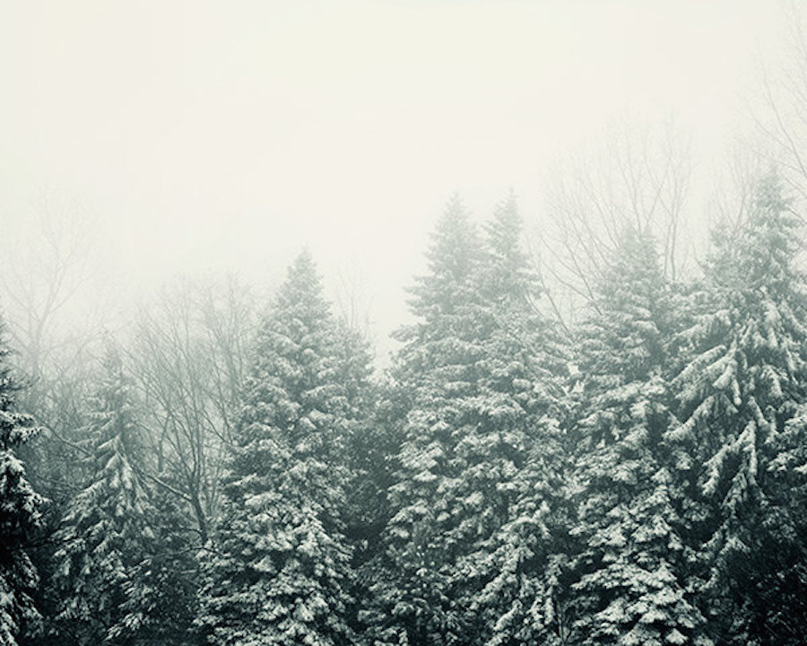 Impressive and Poetic Winter Scenes7