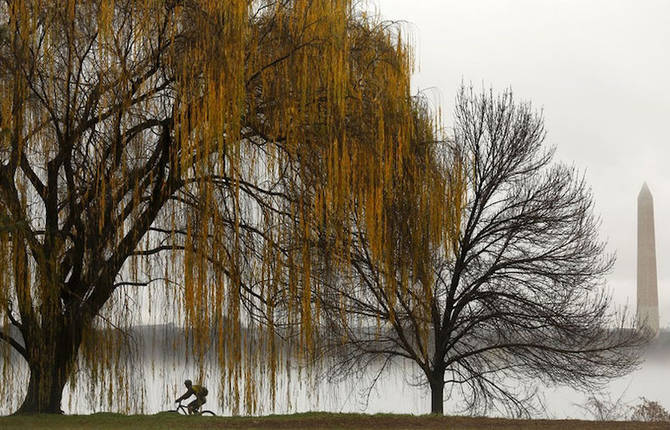 Mysterious Landscapes Covered with Fog