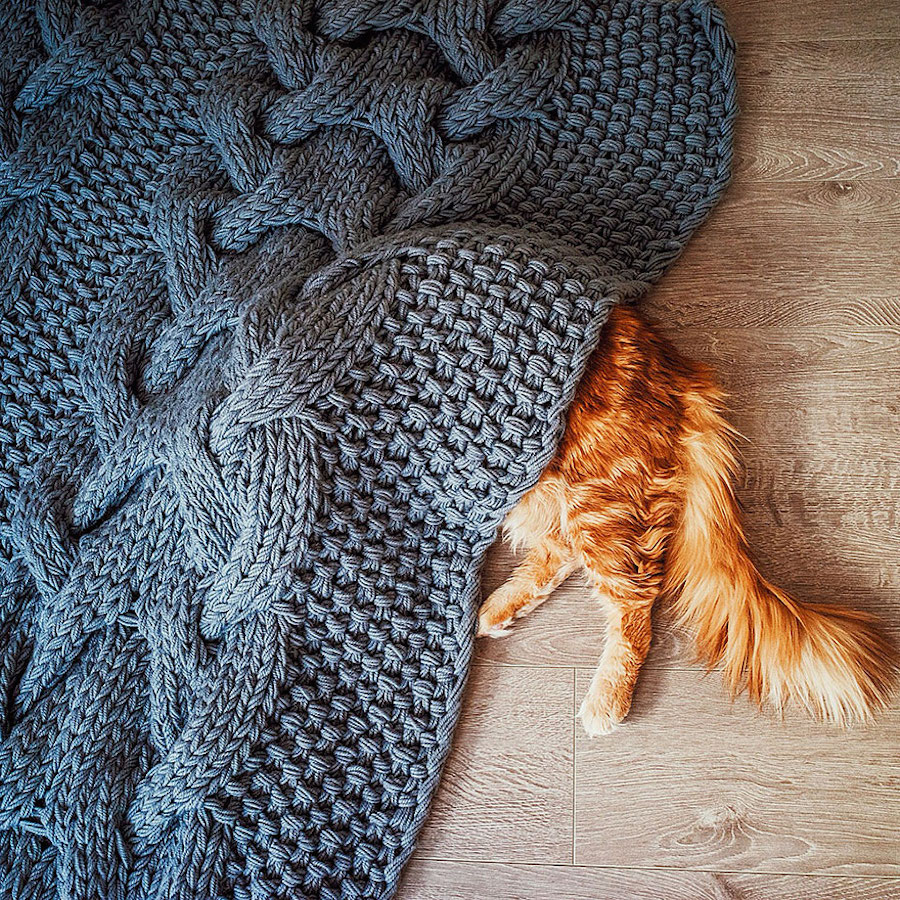 Majestic Photography of Ginger Cat5