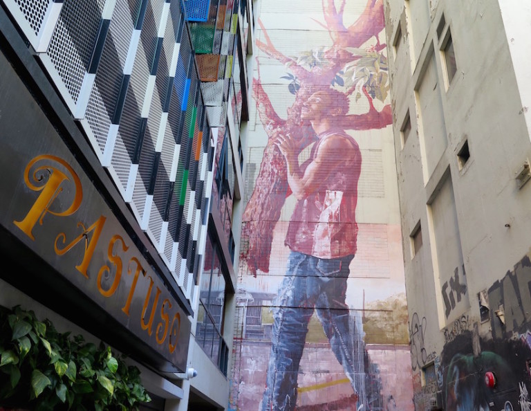Stunning Mural in Melbourne by Fintan Magee-5