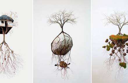Tree Sculptures Connected to Cuban Artist’s Roots