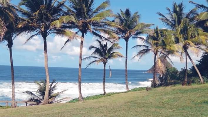 Between Land and Sea in Martinique