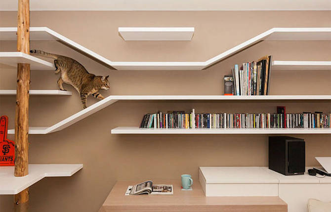 The Catwalk Bookshelf