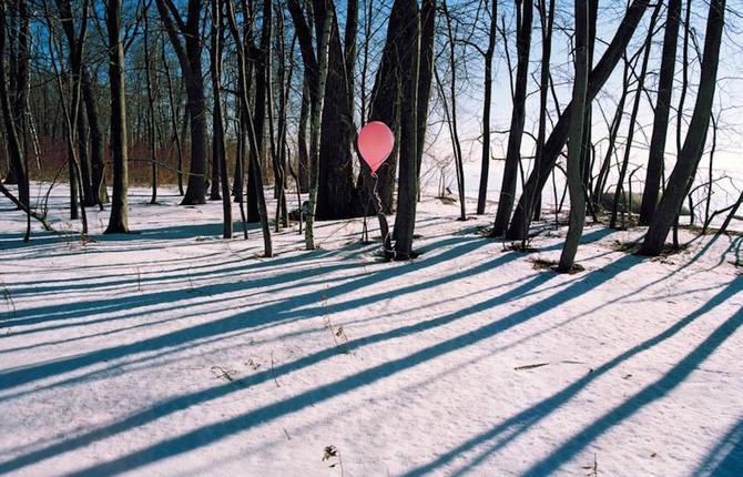 Creative Wood & Balloons Installation in the Forest