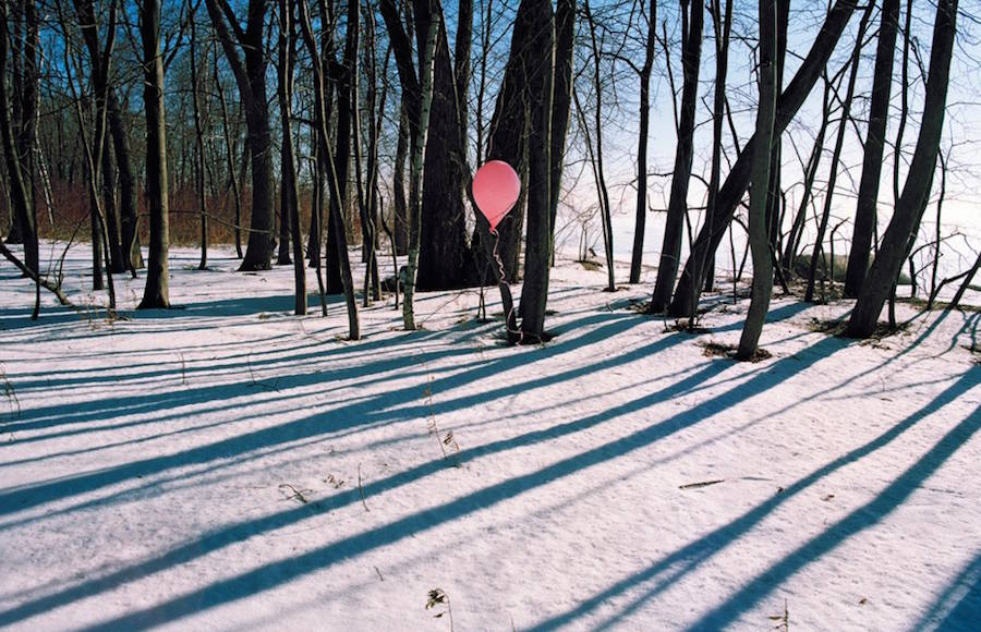 Creative Wood & Balloons Installation in the Forest