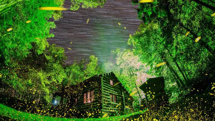 Fireflies Symphony in Elkmont
