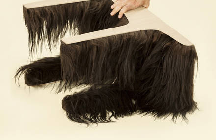 Hairy & Quirky Coffee Table