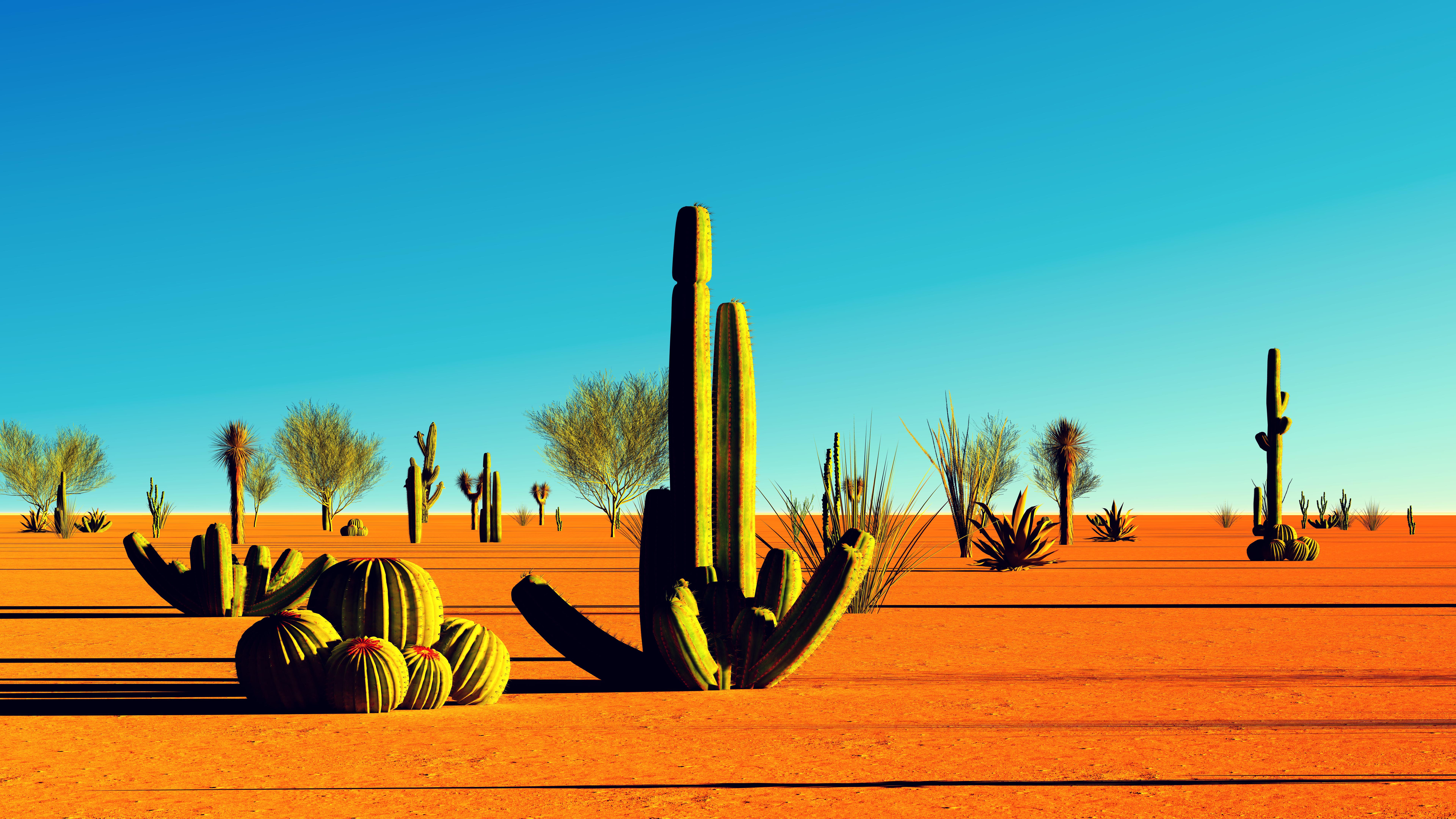 American desert