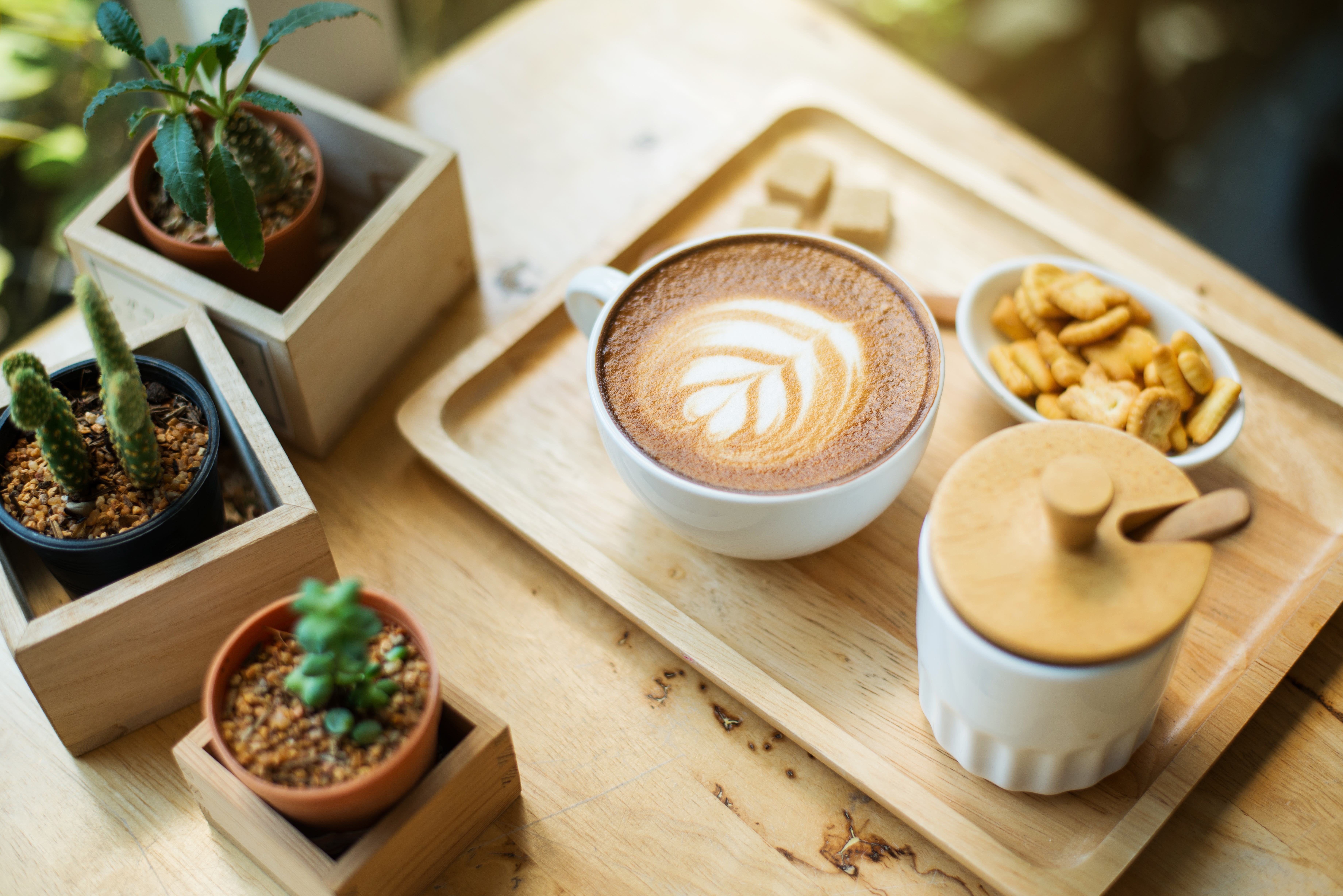 hot latte art  with cactus in coffee shop on table wooden