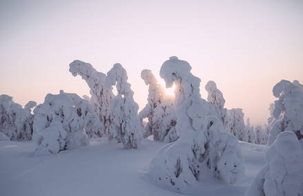 From Finland to Lofoten Poetic Photographs