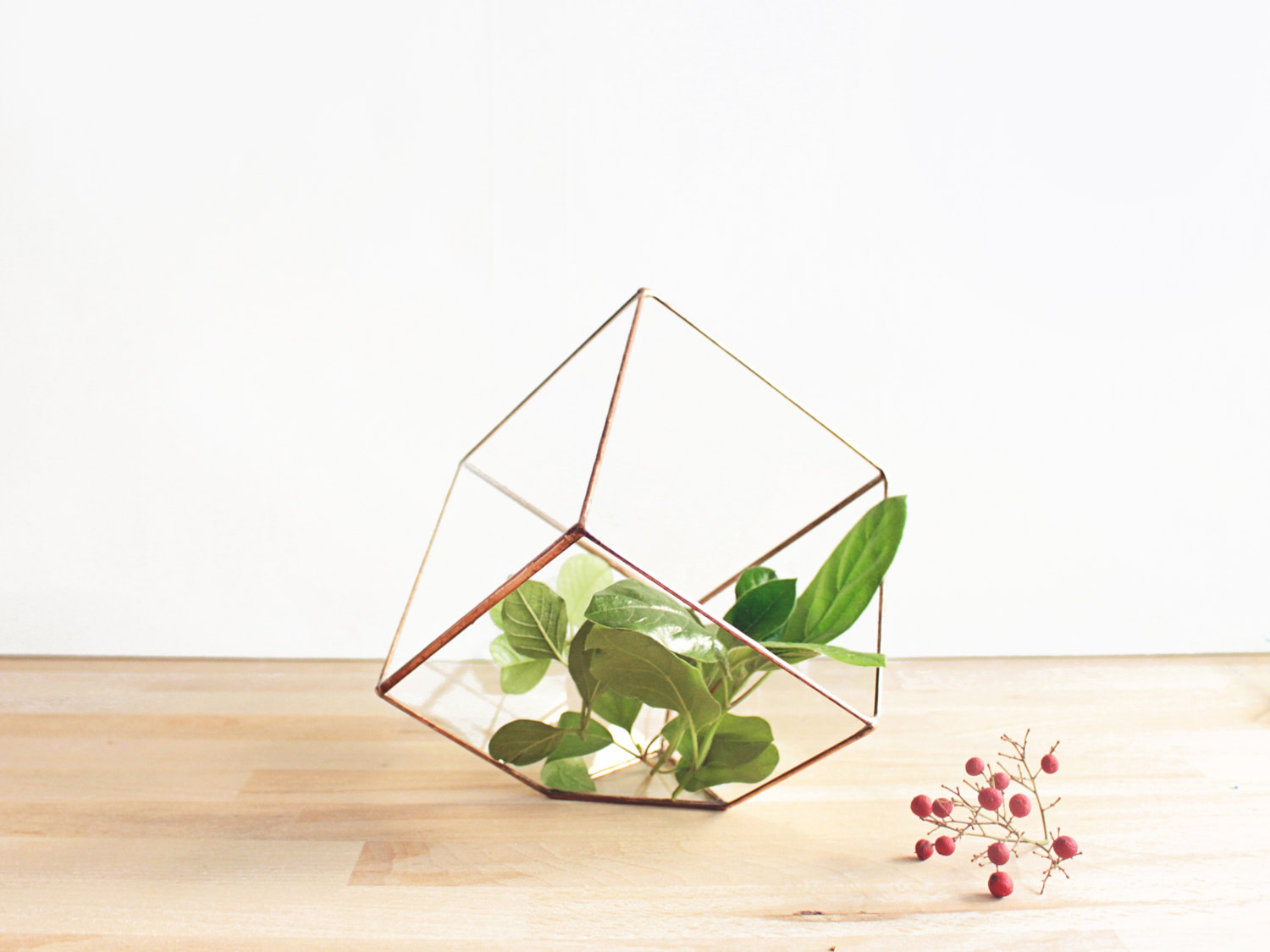 geometricglassterrariums0