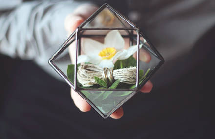 Handcrafted Geometric Glass Terrariums