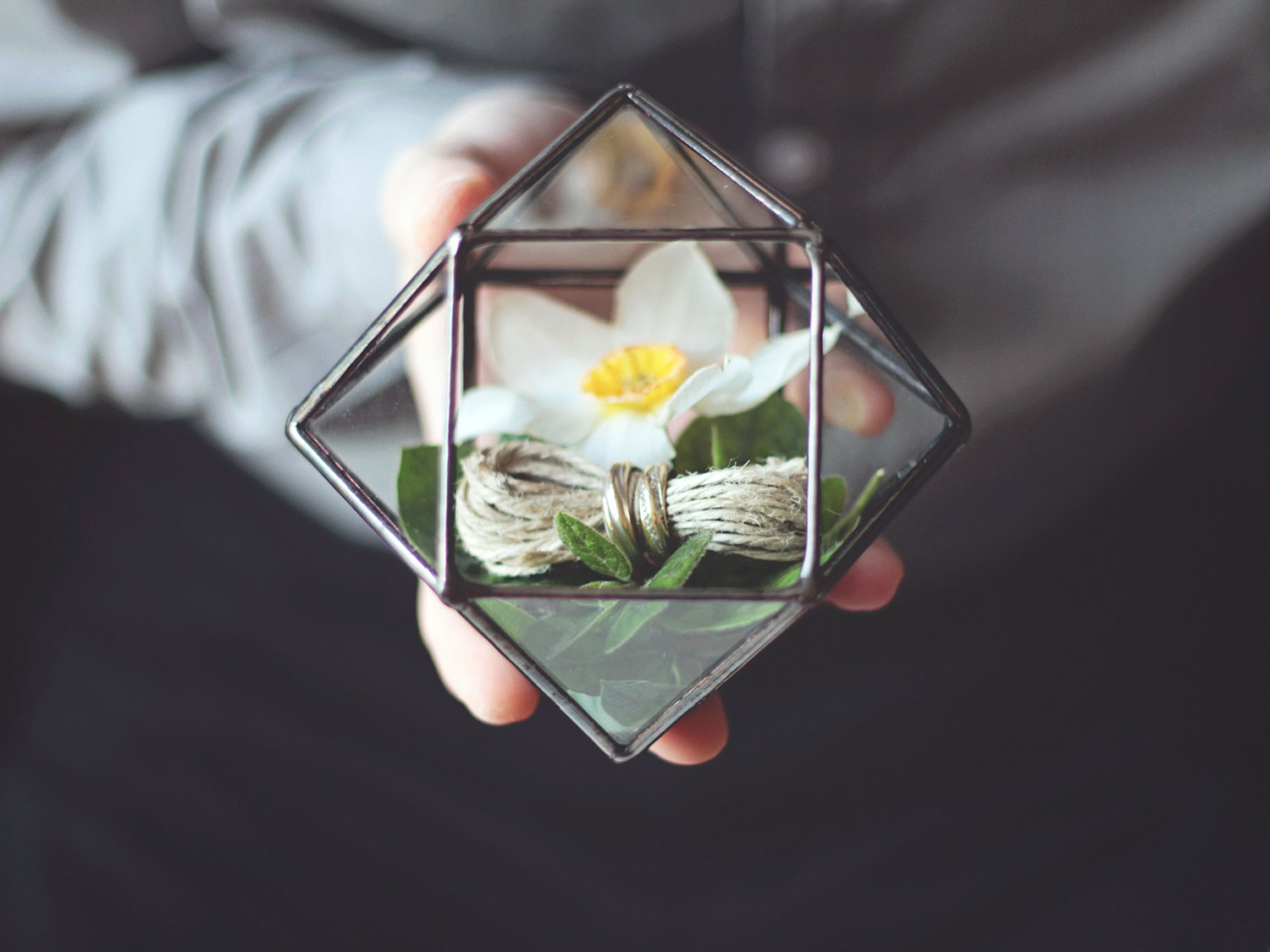 geometricglassterrariums1