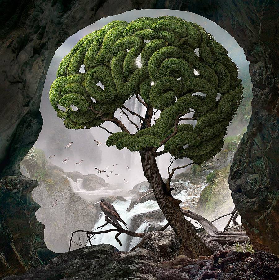 Surreal Human Heads That Illustrate The Chaos of Mind – Fubiz Media