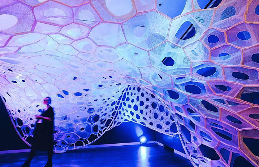 3D Printed Web Installation Playing with Light