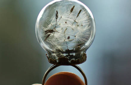 Nature Encapsulated in Romantic Terrariums Jewels