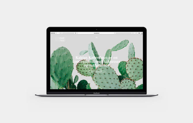 Visual Identity for a Cactus Concept Store