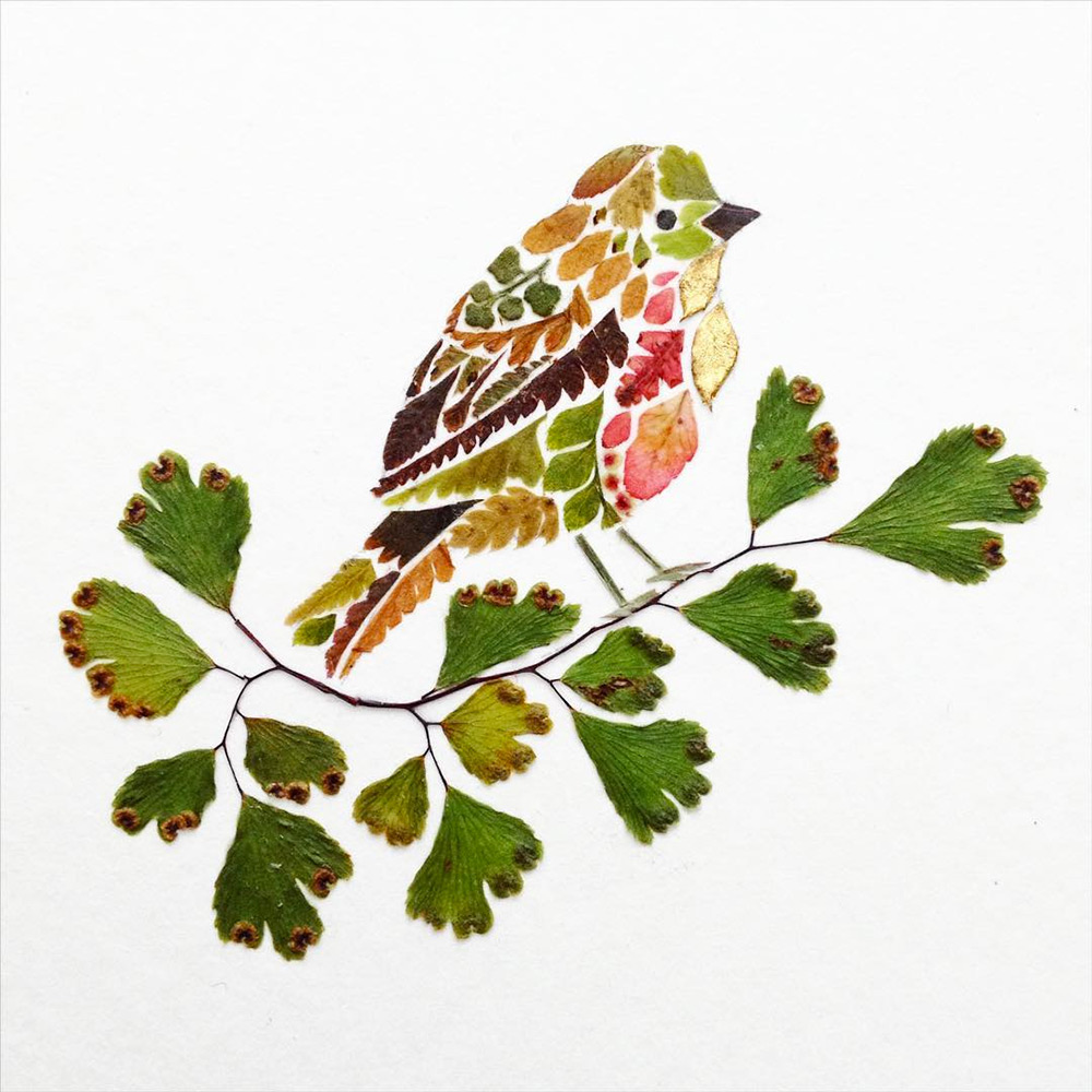 leafanimalsillustrations10