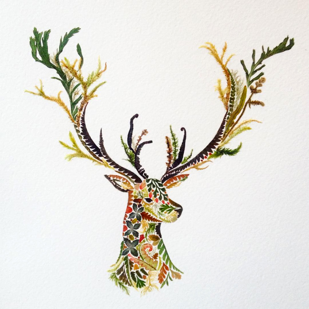 leafanimalsillustrations7