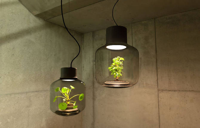 Innovative Mini Lamps to Grow Plants Without Water