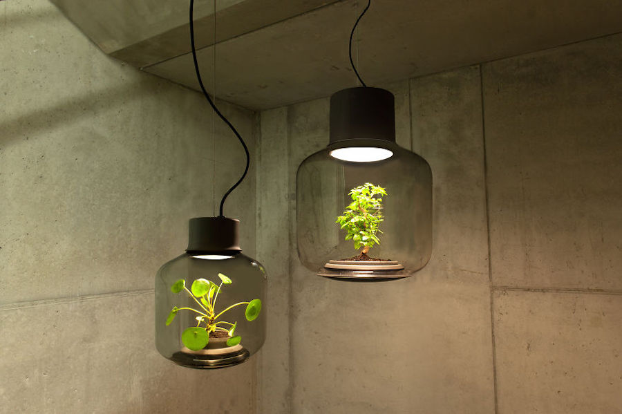 magicminilampstogrowplantswithoutwater-0