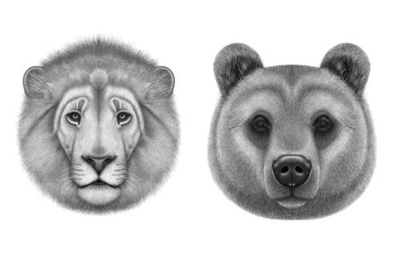 Pencil-Like Digital Portraits of Animals