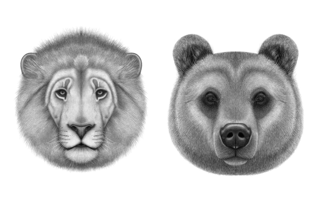 pencillikeanimaldrawings1