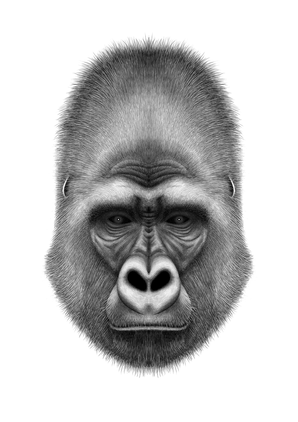 pencillikeanimaldrawings10