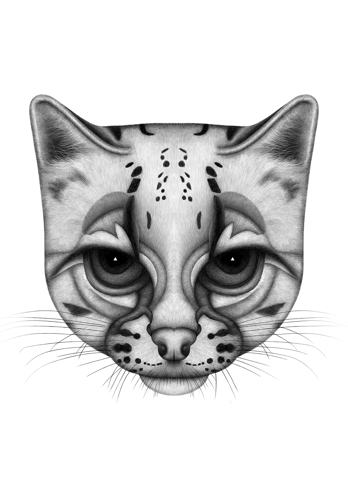 pencillikeanimaldrawings12