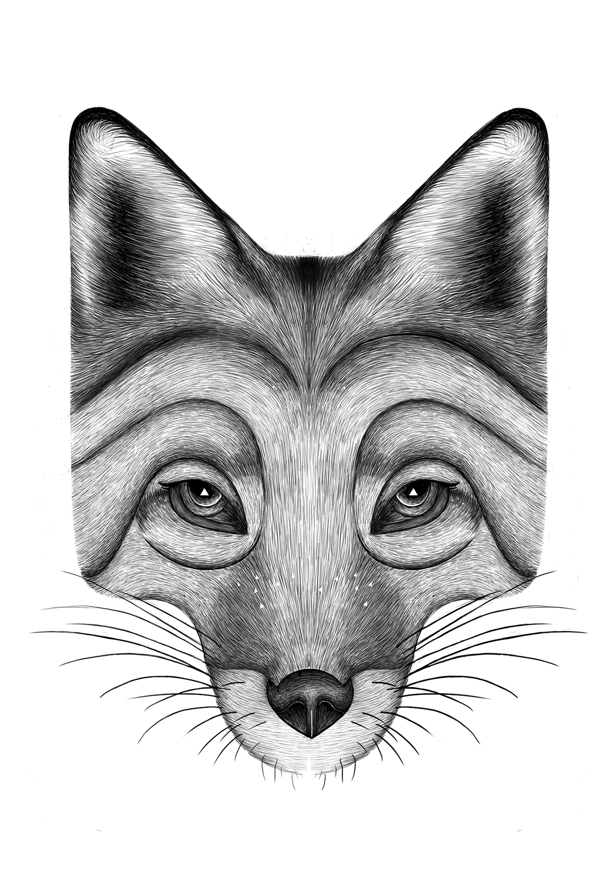 pencillikeanimaldrawings14