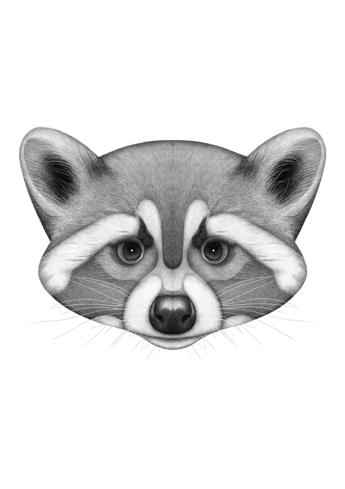 pencillikeanimaldrawings3