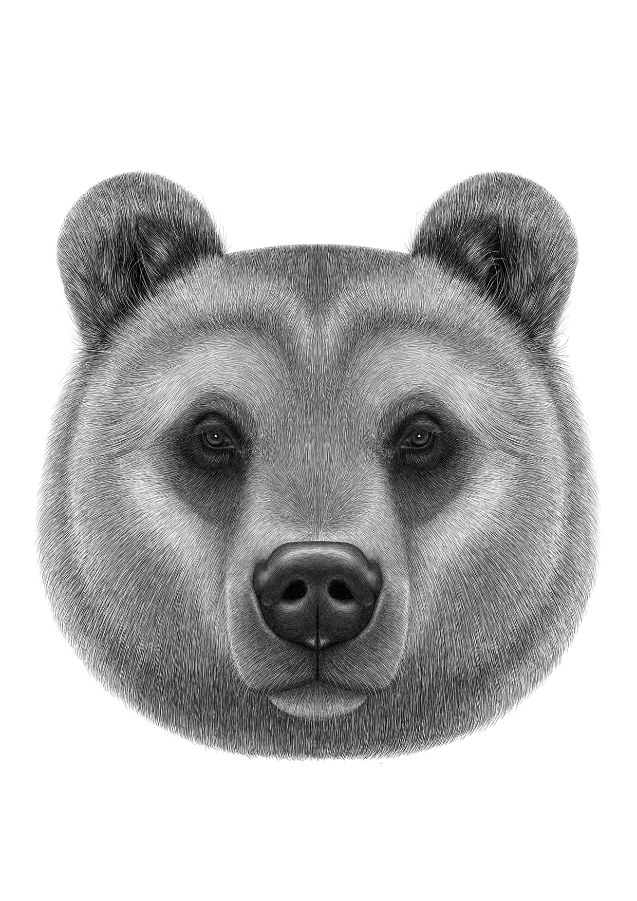 pencillikeanimaldrawings5