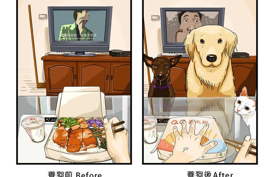 Pets Owners Problems Illustrations