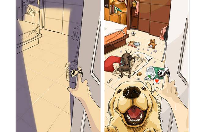 Pets Owners Problems Illustrations