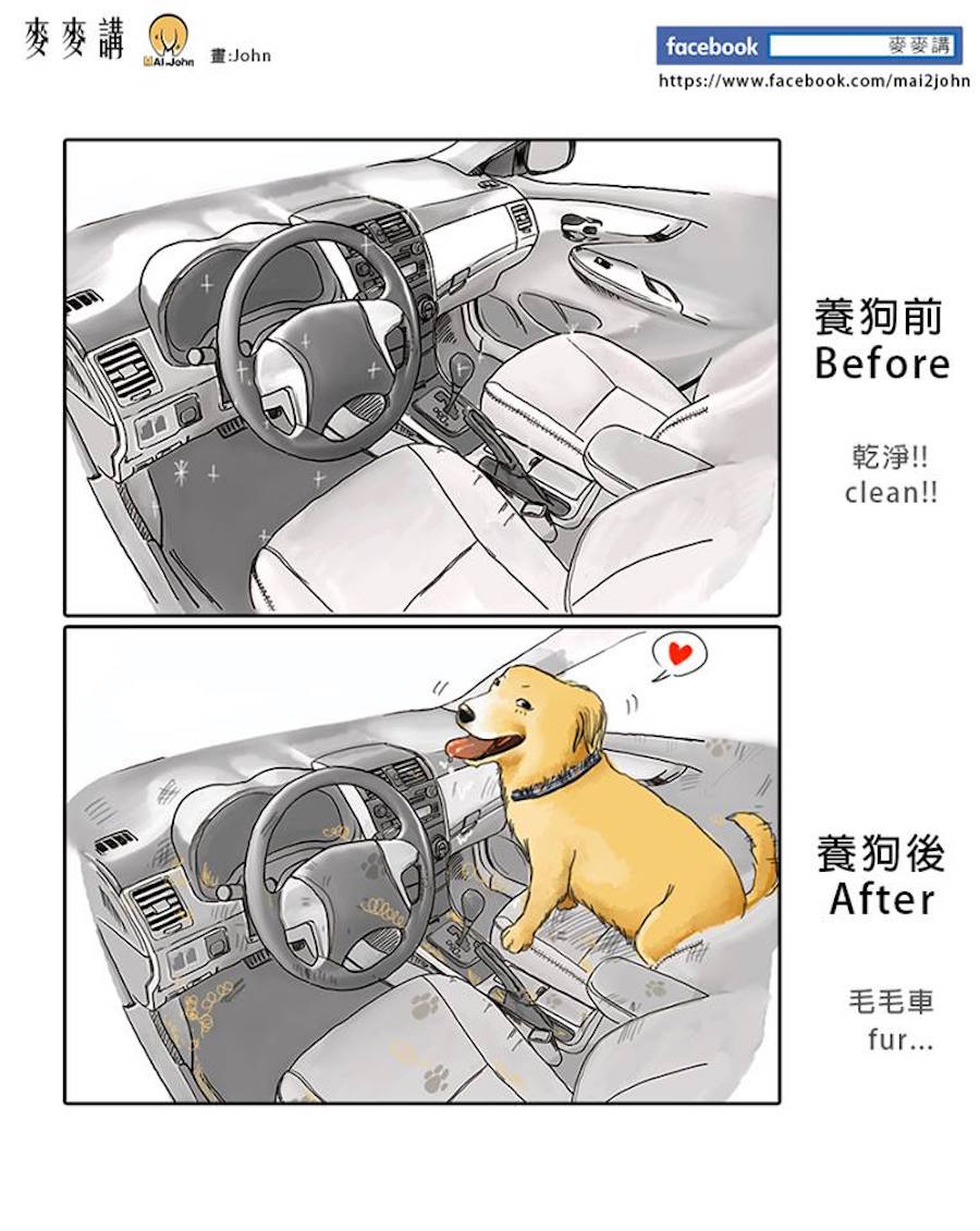 petsownersillustrations3