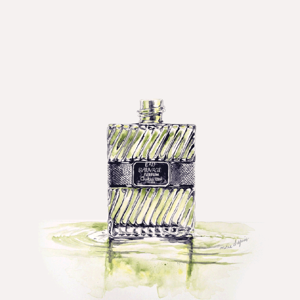 poeticanimatedillustrations5