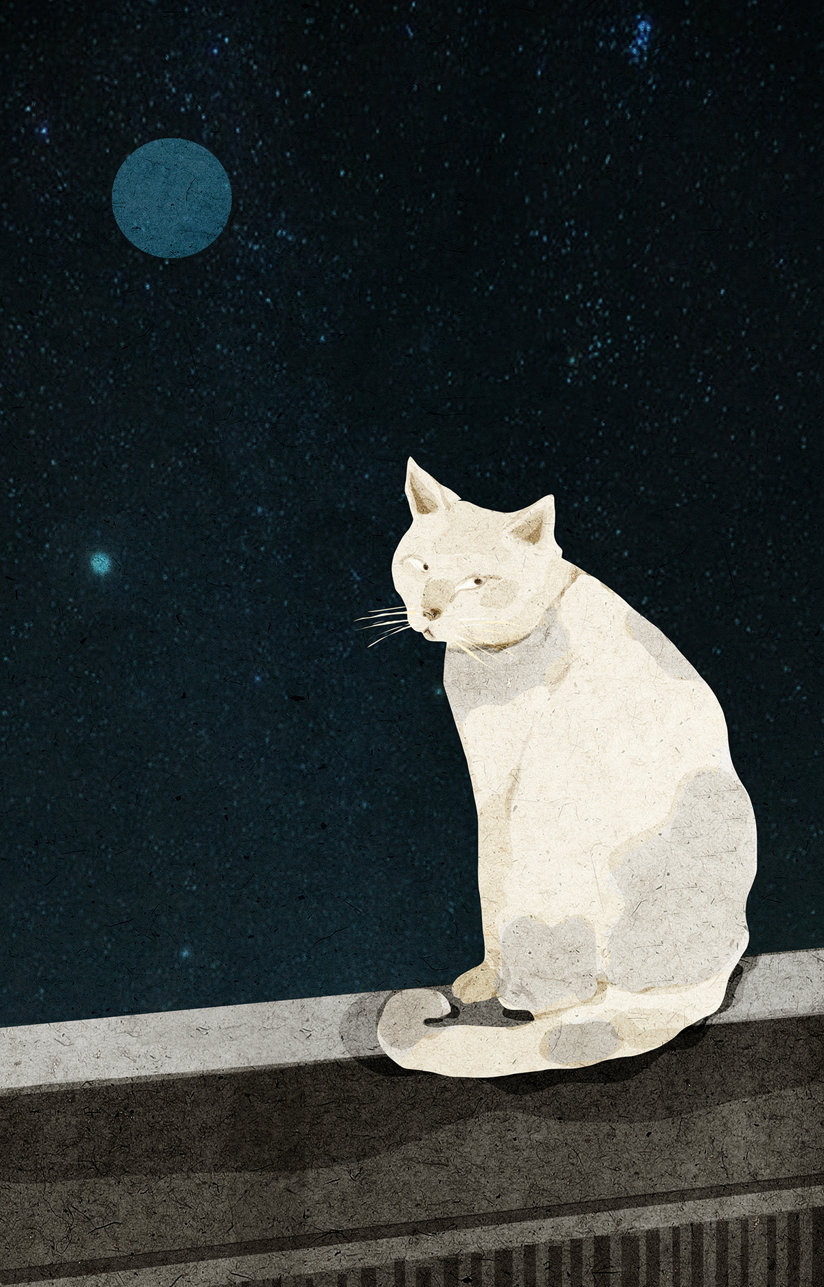 poeticillustrationofnight3