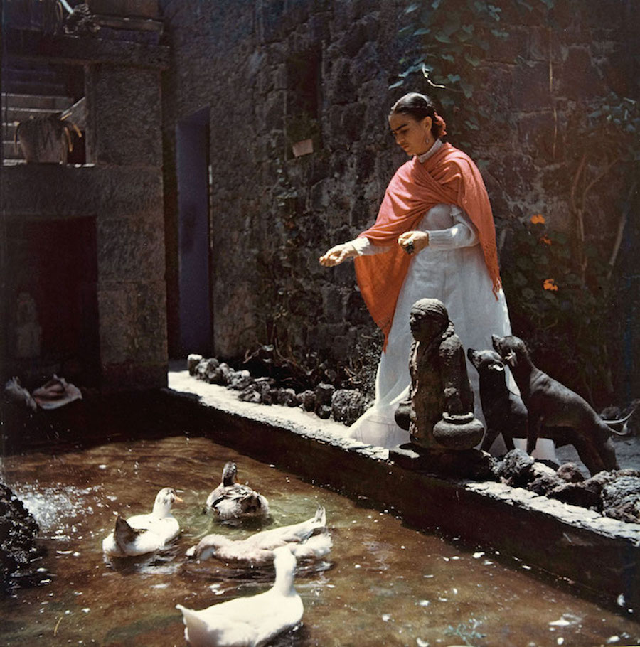 poignantlastphotographsfridakahlo-12