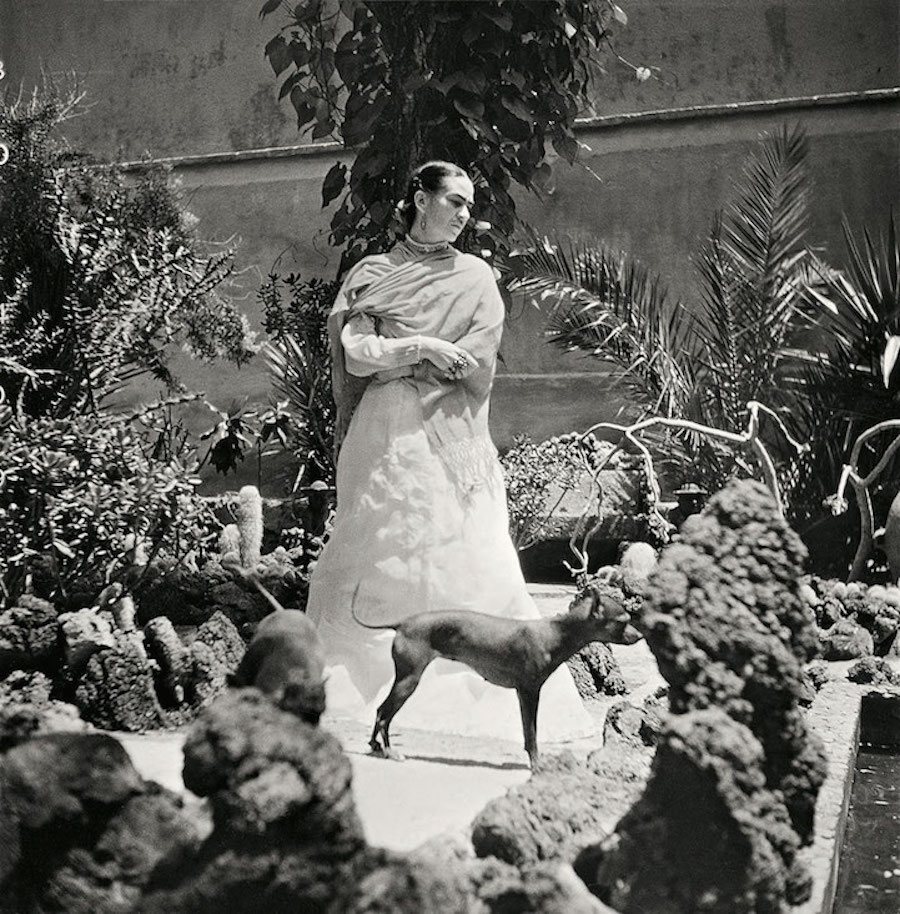poignantlastphotographsfridakahlo-6
