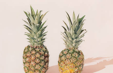 Precise and Delicate Pastel Paintings