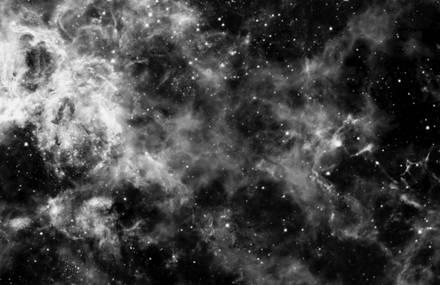 Robot Koch – Eclipse