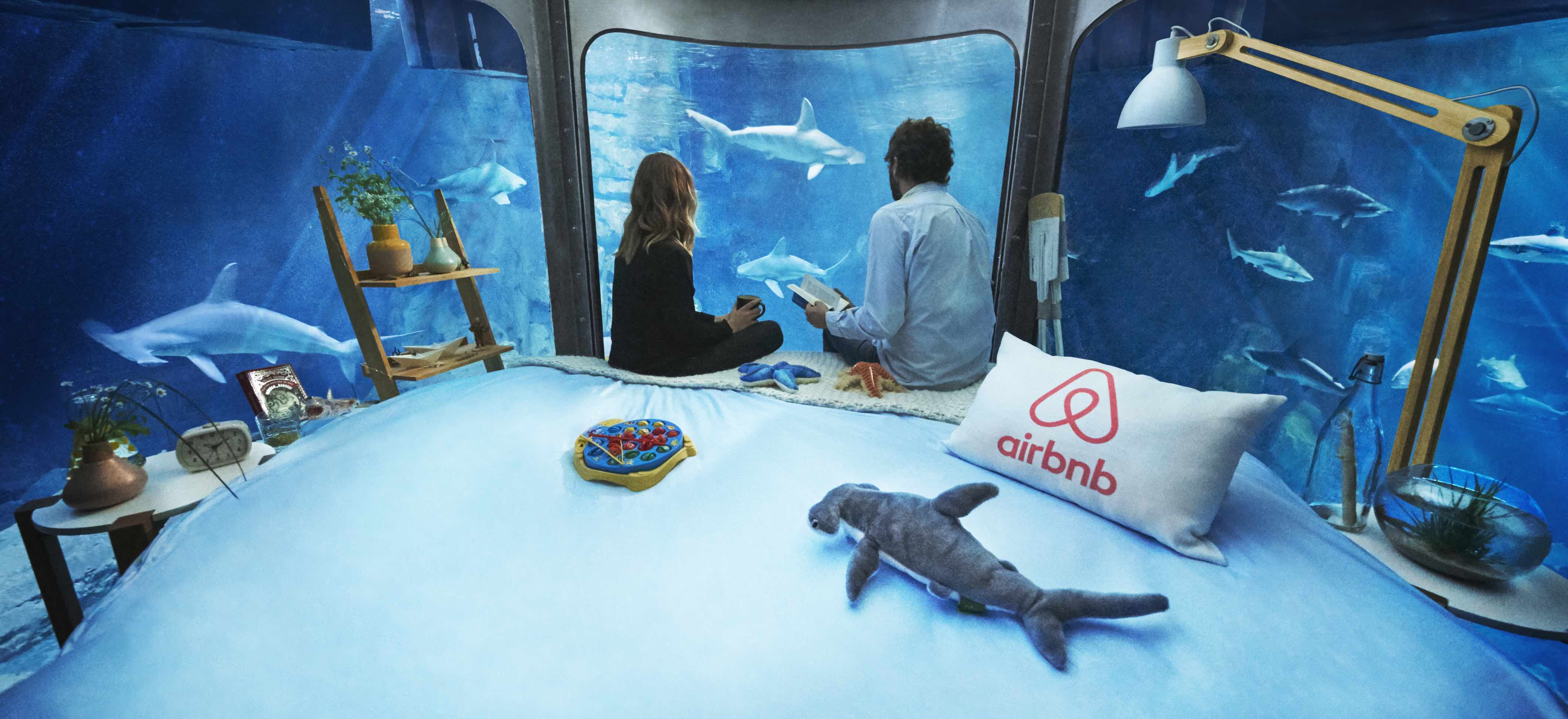 sharkairbnb4