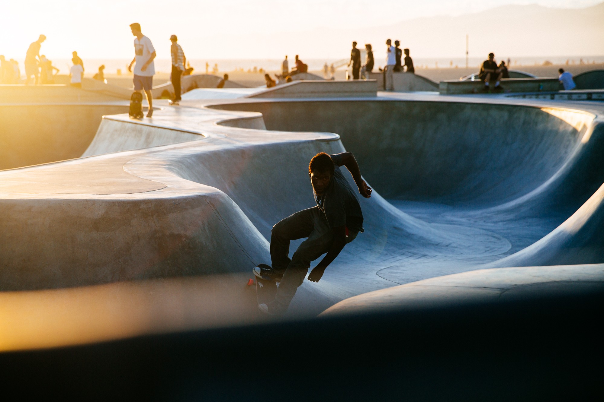 skateboardvenice14