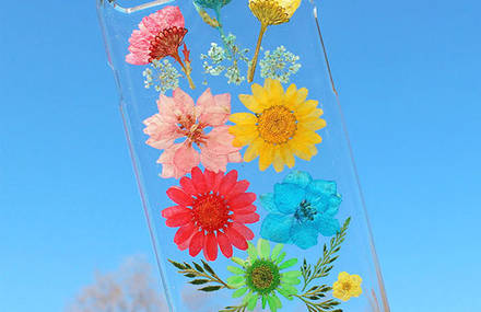 Sweet Phone Cases with Real Flowers
