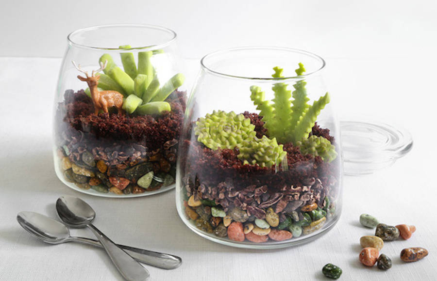 Beautiful Edible Terrariums