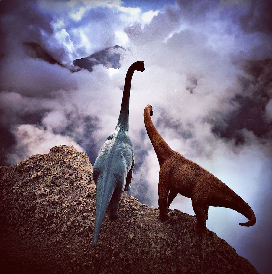 Toy Dinosaur Scenes