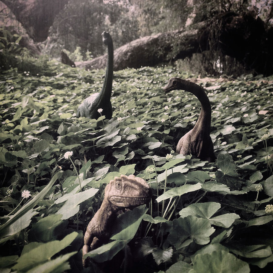 Toy Dinosaur Scenes