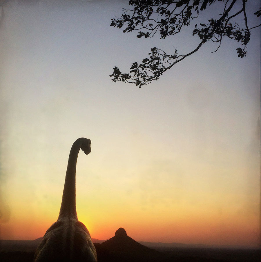 Toy Dinosaur Scenes