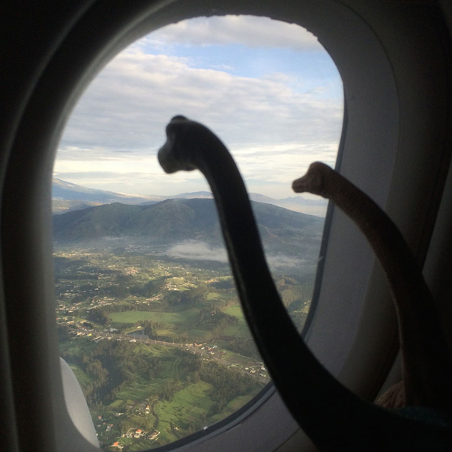 Toy Dinosaur Scenes