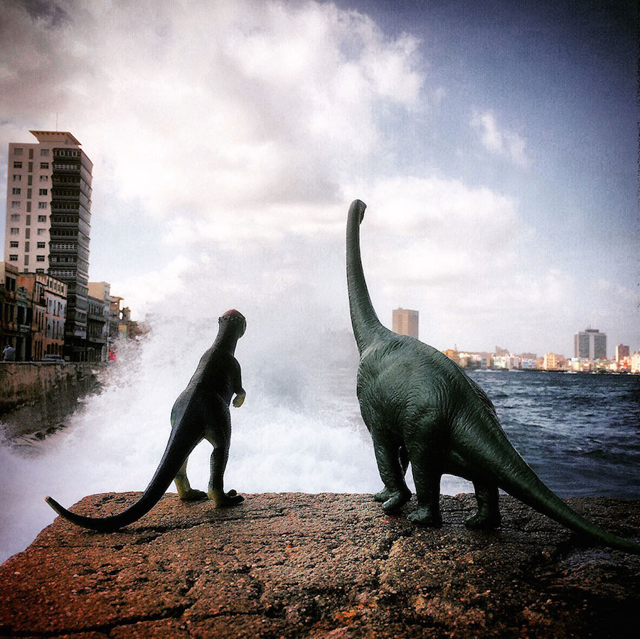 Toy Dinosaur Scenes